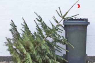 Si in Stefanesti se strang brazii de Craciun