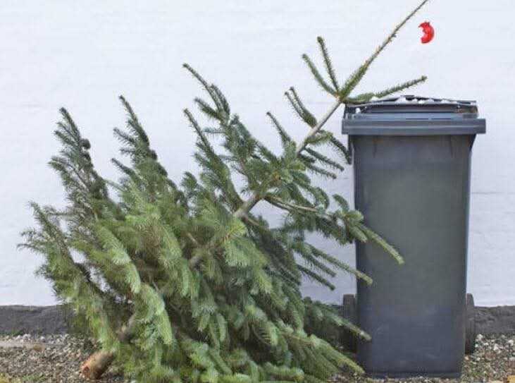 Si in Stefanesti se strang brazii de Craciun