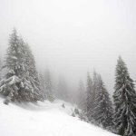 cod galben de vant emis de anm muntii afectati de rafae extreme ploi abundente si ninsori viscolite