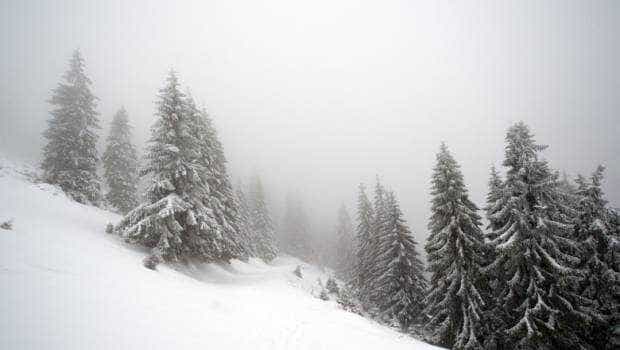 cod galben de vant emis de anm muntii afectati de rafae extreme ploi abundente si ninsori viscolite