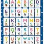 17 Februarie 1993 Academia Romana a decis revenirea la scrierea cu a in interiorul cuvintelor