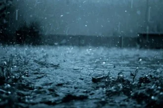 ANM a emis coduri galbene pentru ploi ninsori si vant puternic Ce regiuni sunt afectate