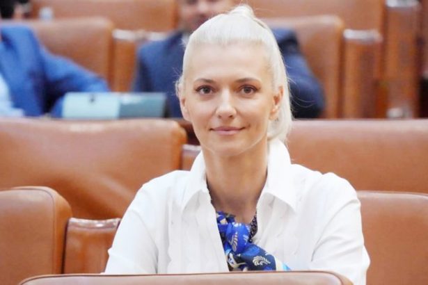 Alina Gorghiu Femicidul reprezinta o problema de siguranta publica si o responsabilitate a statului