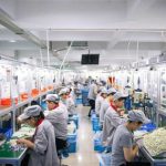 Copii romani abuzati intr o fabrica din Italia