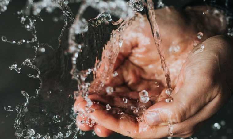 DSVSA Arges efectueaza controale la operatorii economici scoli si gradinite din Curtea de Arges