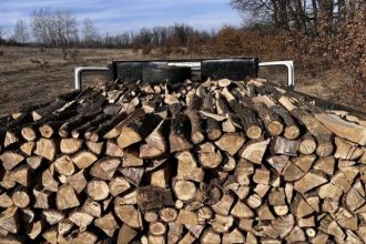 Furtul de lemne ramane o problema in judetul Arges