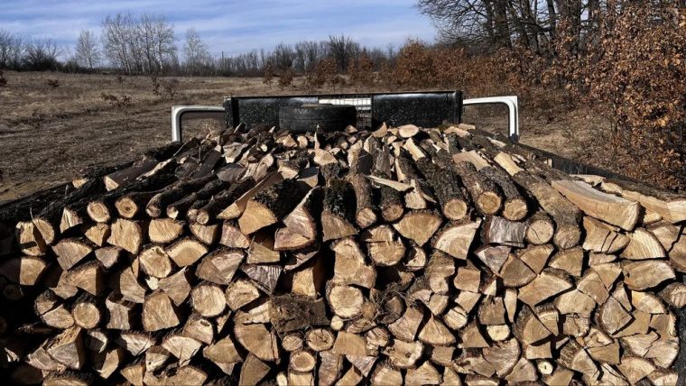 Furtul de lemne ramane o problema in judetul Arges