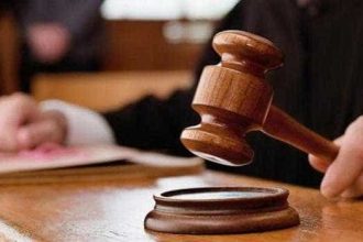 Invazie suprinzatoare intr o instanta din Capitala insectele care au perturbat activitatea judecatorilor