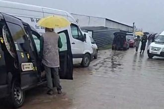 Mai multe primarii din Arges au incheiat contracte cu hingherii de la Suraia Mobilizare fara precedent pentru salvarea cainilor care au scapat de la moarte