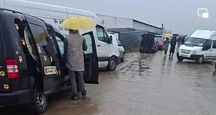 Mai multe primarii din Arges au incheiat contracte cu hingherii de la Suraia Mobilizare fara precedent pentru salvarea cainilor care au scapat de la moarte