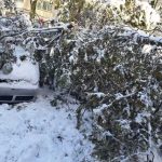 Misiuni de iarna la Pitesti Drujbele cele mai importante accesorii ale pompierilor