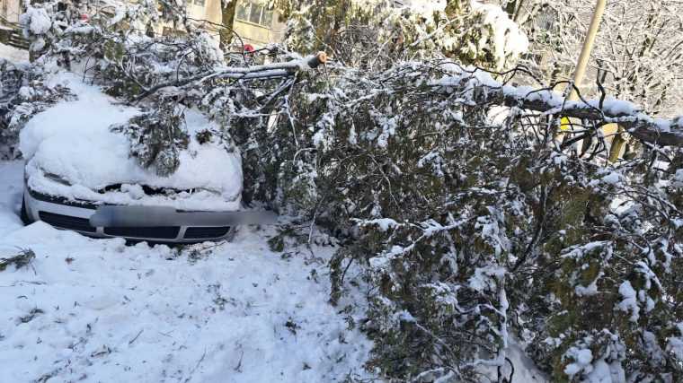 Misiuni de iarna la Pitesti Drujbele cele mai importante accesorii ale pompierilor