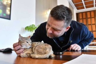 Primarul Capitalei Ciprian Ciucu a adoptat o pisica ranita si a adus o in biroul sau