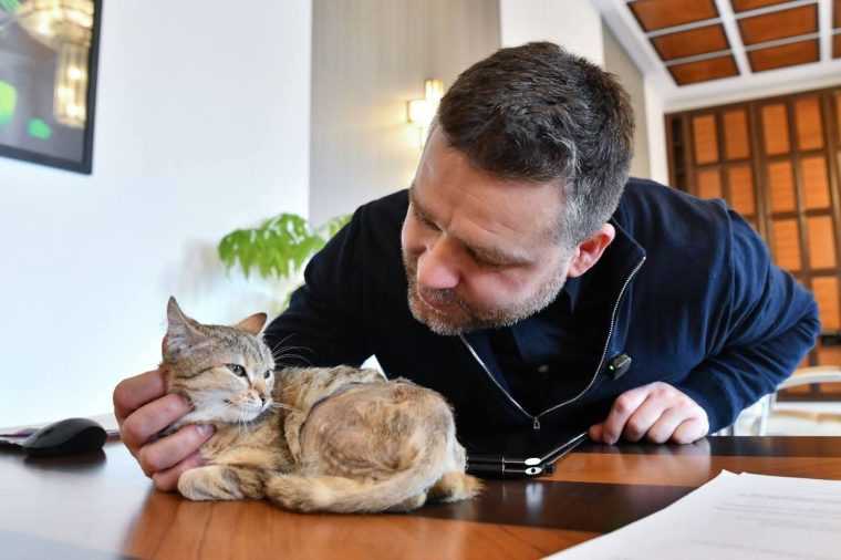 Primarul Capitalei Ciprian Ciucu a adoptat o pisica ranita si a adus o in biroul sau