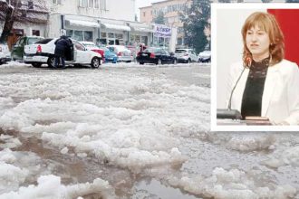 Realitatea paralela a unora dintre membrii PSD Campulung