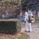 Se continua tratamentele fitosanitare in Pitesti