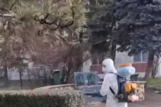 Se continua tratamentele fitosanitare in Pitesti