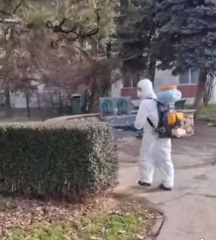 Se continua tratamentele fitosanitare in Pitesti