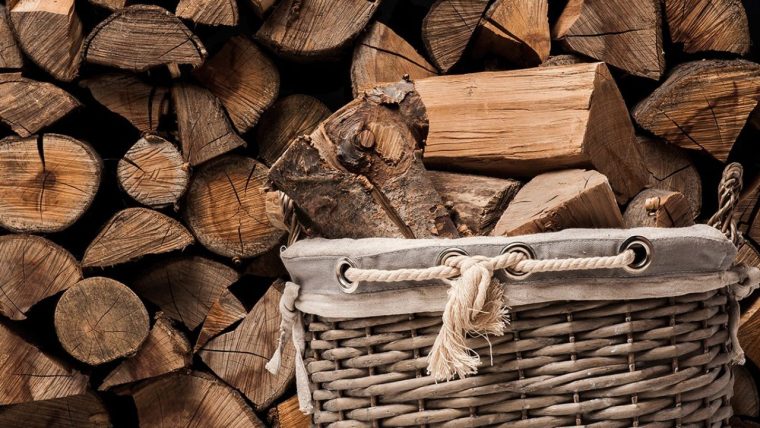 Se fura lemne in Arges Prins de polisistii rutieri conducand fara a folosi aparatul tahograf