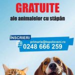 Sterilizari gratuite pentru animalele de companie din Topoloveni