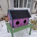 Unicat Primele casute pentru pisici fara stapan instalate intr un oras din Romania