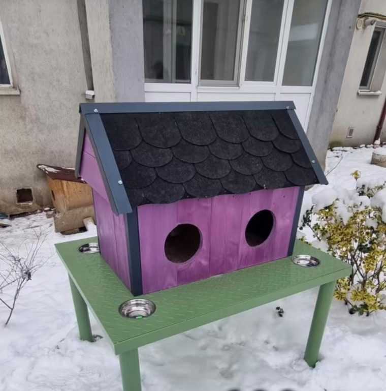Unicat Primele casute pentru pisici fara stapan instalate intr un oras din Romania