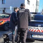 controale in parcurile din pitesti proprietarii care nu isi aduna excrementele cainilor au fost sanctionati