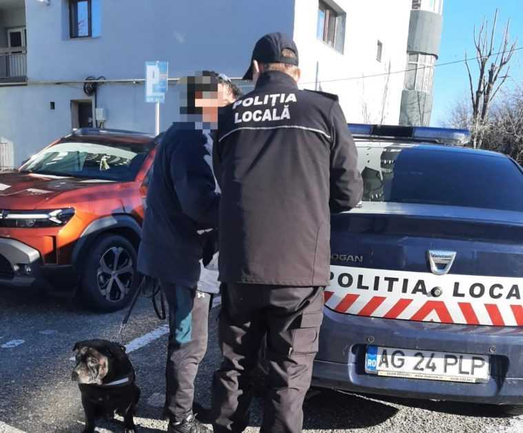 controale in parcurile din pitesti proprietarii care nu isi aduna excrementele cainilor au fost sanctionati