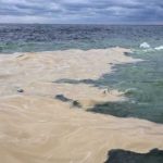 dezastru ecologic in marea neagra mii de pasari decedate din cauza unei scurgeri toxice generate de un atac cu drone