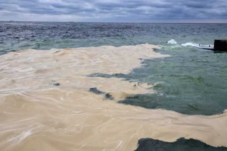 dezastru ecologic in marea neagra mii de pasari decedate din cauza unei scurgeri toxice generate de un atac cu drone