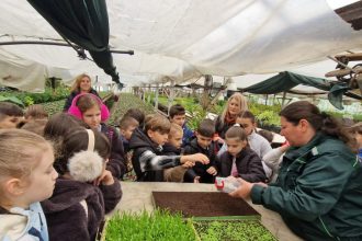 A demarat Programul Saptamana Verde la Pitesti