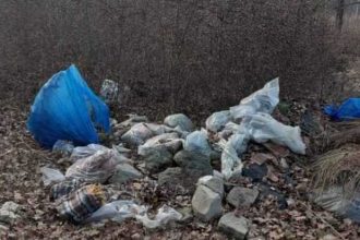 Actiune de curatare ecologica in zona Prundu Vama Pitesti