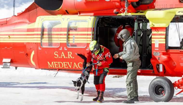 Cainii de salvare au zburat pentru prima data cu un elicopter Black Hawk la Stagiul de Formare din Arges