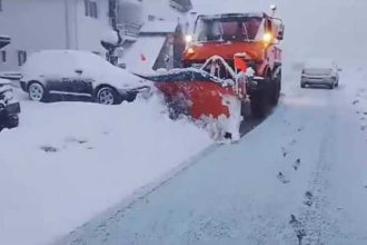 Cod portocaliu de ninsoare in zonele montane