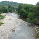 Din situri Valsanul si Raul Doamnei au fost declarate arii protejate