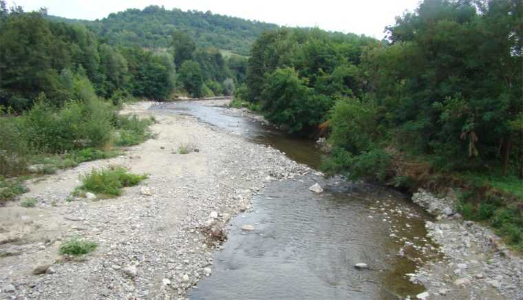 Din situri Valsanul si Raul Doamnei au fost declarate arii protejate