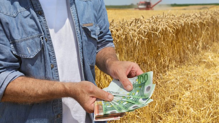 Fermierii vor putea obtine pana la 100000 de euro pentru investitii in floricultura