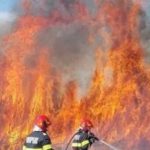 Flacari uriasem langa Baia Mare incendiu devastator declansat intr o zona forestiera din Maramures