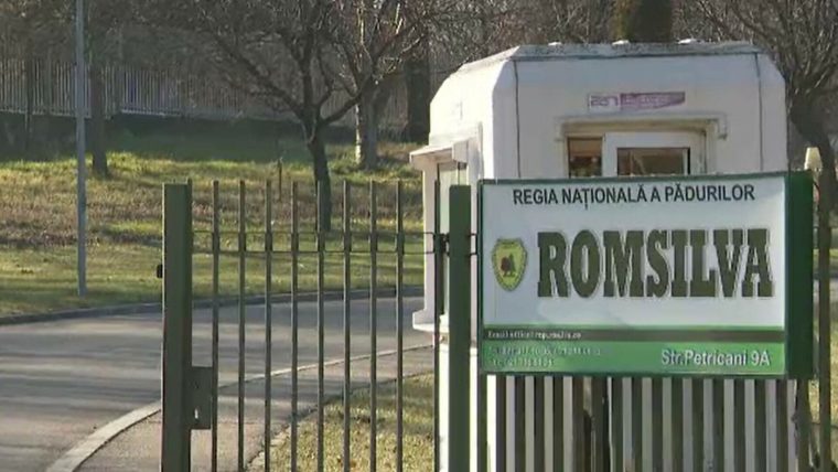 Guvernul a deciso Romsilva se reintregeste Din cele 41 de directii silvice raman 19 structuri regionale