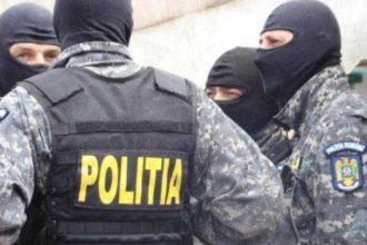 Perchezitii in patru judete privind eutanasierea ilegala a cainilor fara stapan