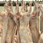 Piteshti Inscrieri pentru comercializarea mieilor in piete