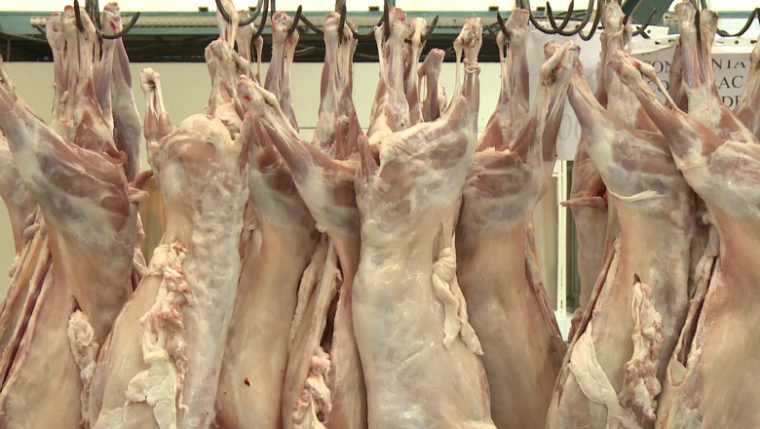 Piteshti Inscrieri pentru comercializarea mieilor in piete