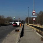 Pitesti Podul de peste Raul Doamnei va fi reabilitat Durata opt luni