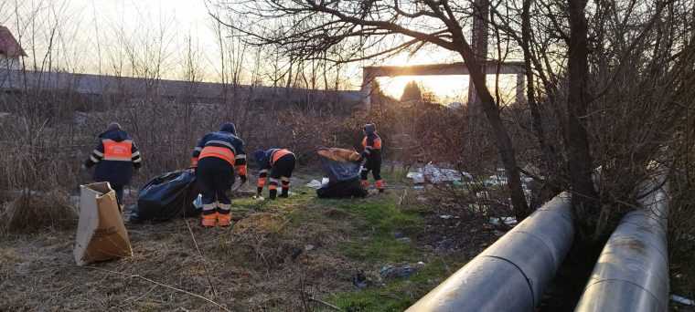 Pitesti Politistii locali au contribuit la curatirea unei zone inundate de deseuri