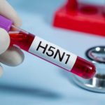 Primul caz de gripa aviara la om in Europa