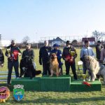 Spectacol canin de exceptie la Costesti Sute de caini de rasa au defilat la CACIB WDF Arges Dog Show 2026