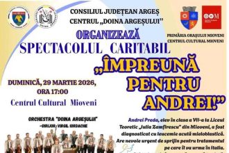 Spectacol de caritate pentru un copil din Mioveni