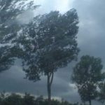 atentie parcurile din pitesti sunt inchise temporar din cauza vantului puternic