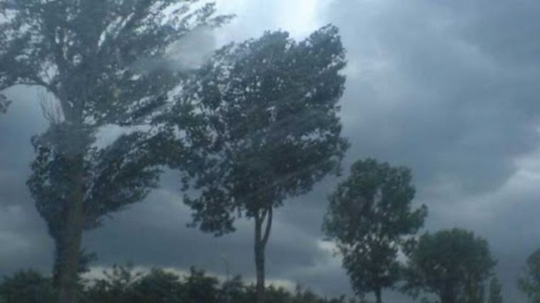 atentie parcurile din pitesti sunt inchise temporar din cauza vantului puternic