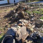 teren igienizat in cartierul tudor vladimirescu politia locala a actionat in urma unei sesizari online